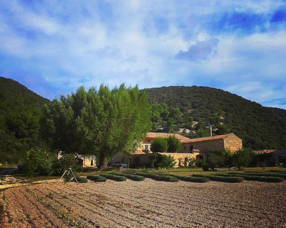 Le Mas De La Fontaine Bed and Breakfast Le Pegue Buitenkant foto